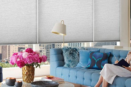 Cellular shades duette
